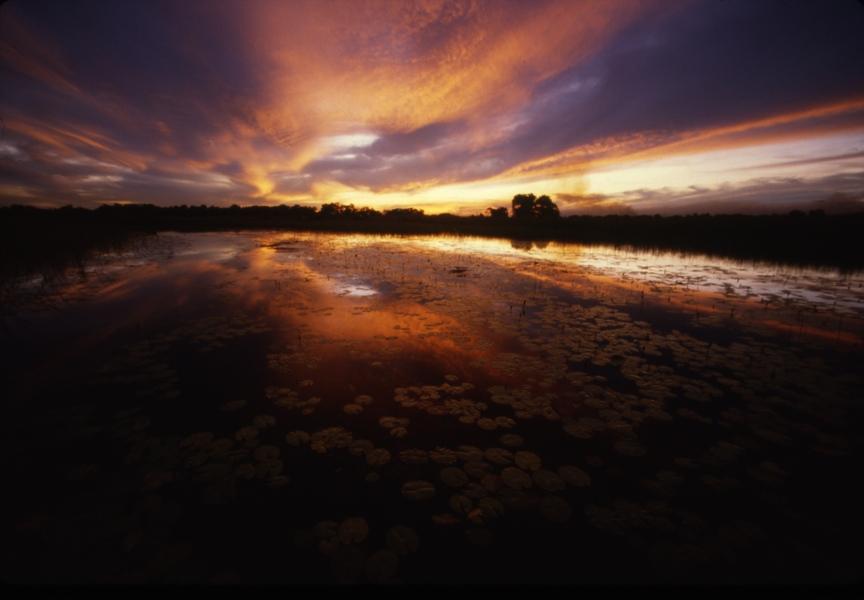 Okavango Delta