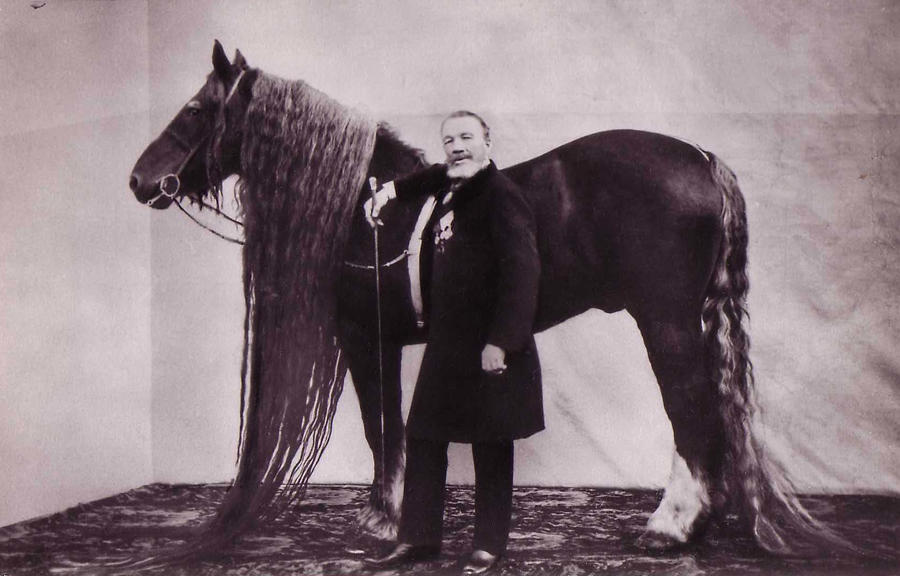 Man with horse